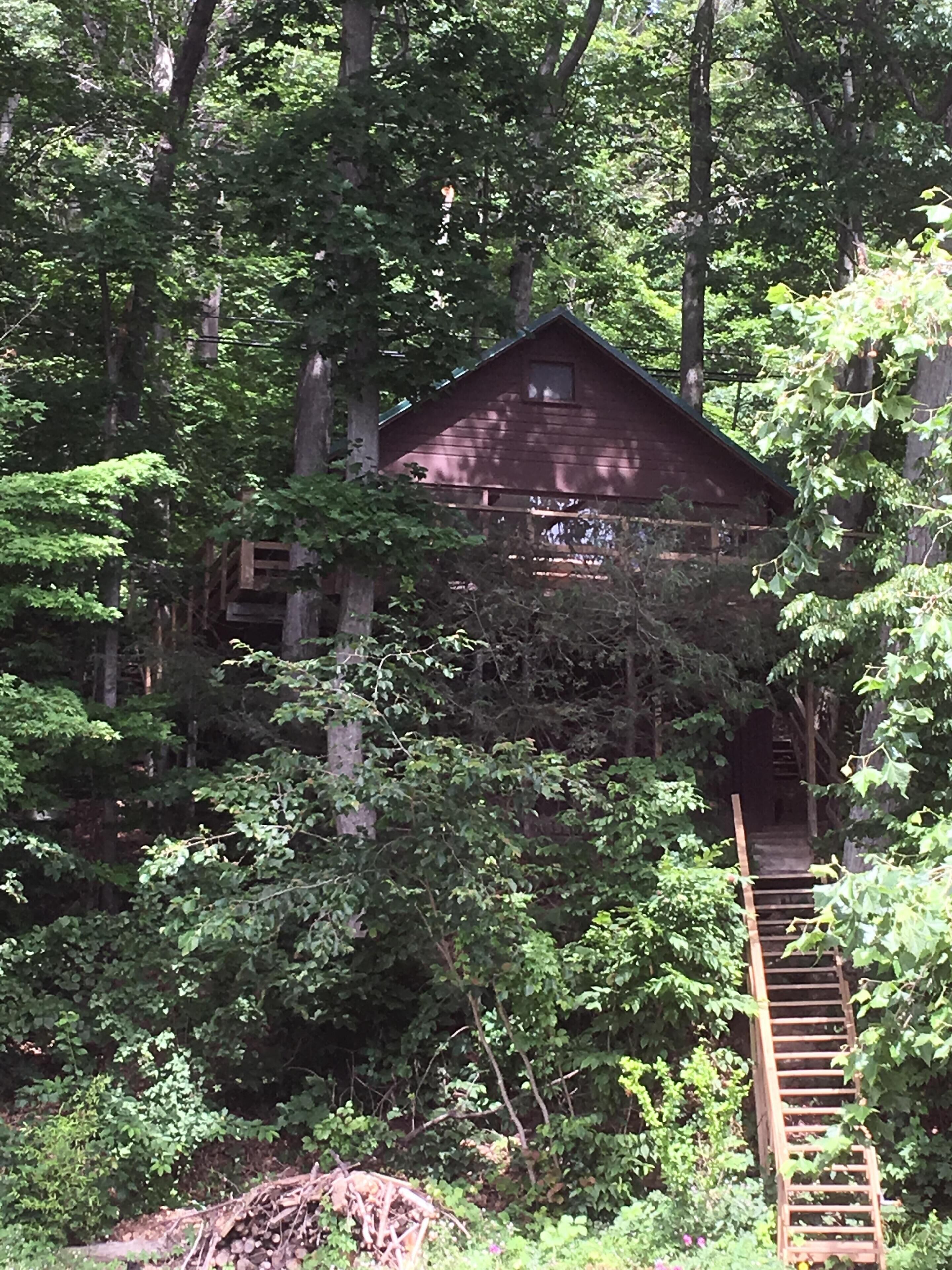 Finger Lakes Cabin with over 200' of Inviting Lakefront!