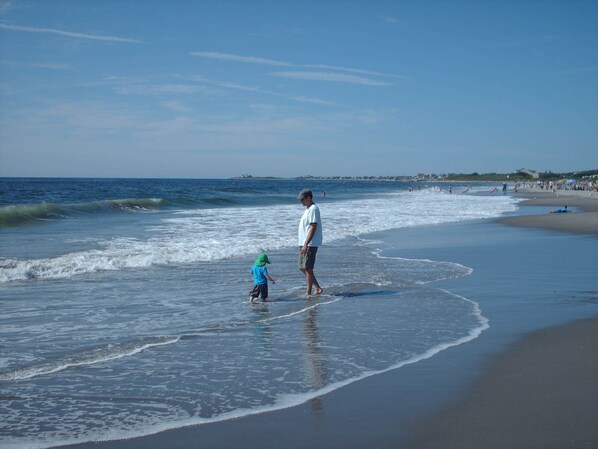 Playa en los alrededores y camastros 