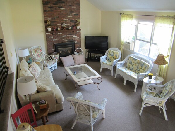 Smart TV, fireplace, DVD player, books