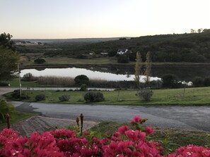Property grounds - Model Studio Waterryk Guest Farm (Still Bay)