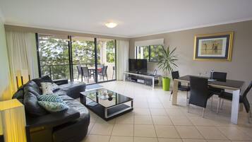 Flat-screen TV, DVD player, books, music library