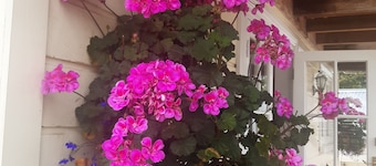 HARBOUR VIEW COTTAGE BOUTIQUE B&B