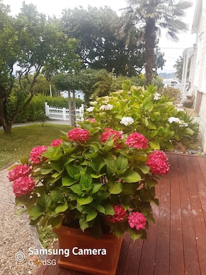 Exterior detail - HARBOUR VIEW COTTAGE BOUTIQUE B&B (Auckland City)