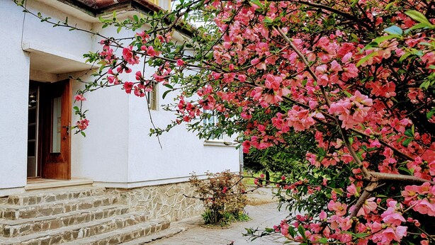 A white building with a stone staircase leading to a wooden door. - Amazing house with beautiful garden, 5 bedrooms, terrace, in the City Centre (Sibiu)