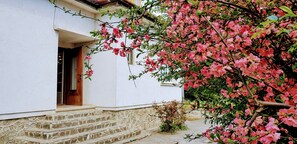Exterior detail - Amazing house with beautiful garden, 5 bedrooms, terrace, in the City Centre (Sibiu)