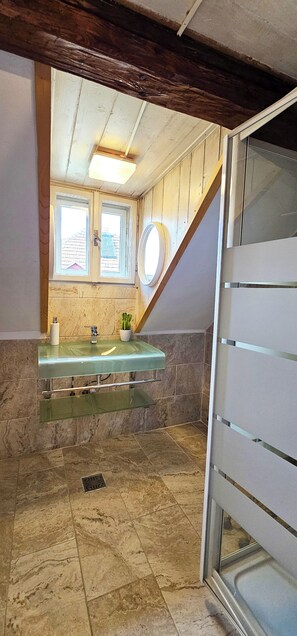 Interior - Amazing house with beautiful garden, 5 bedrooms, terrace, in the City Centre (Sibiu)