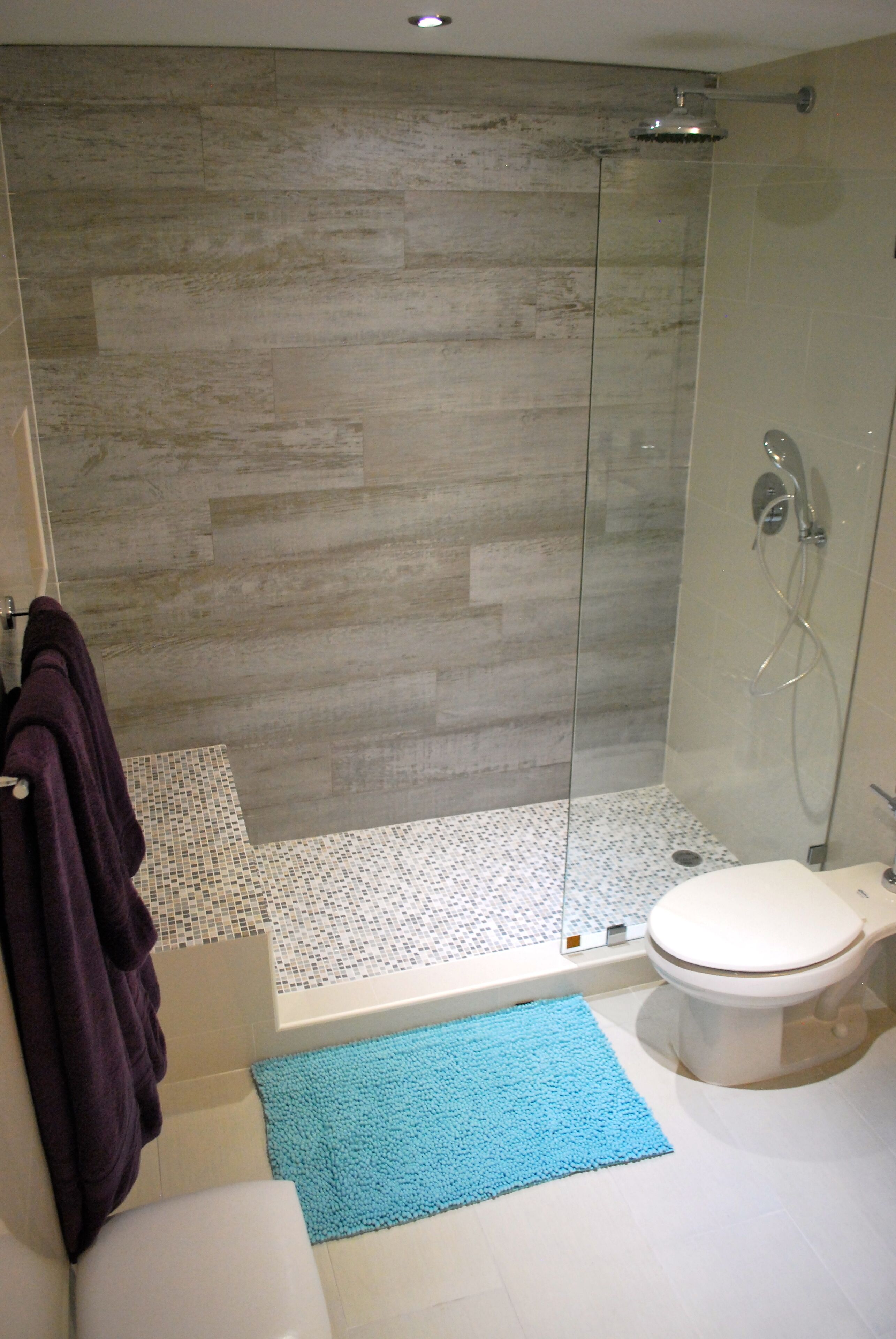 A modern bathroom with a glass-enclosed shower, a white toilet, and a blue bath mat.
