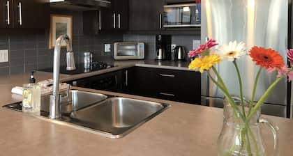 Condo lumineux et spacieux au coeur du centre-ville de Victoria