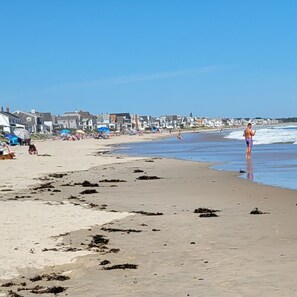 Una playa con casas al fondo y una persona en el agua.