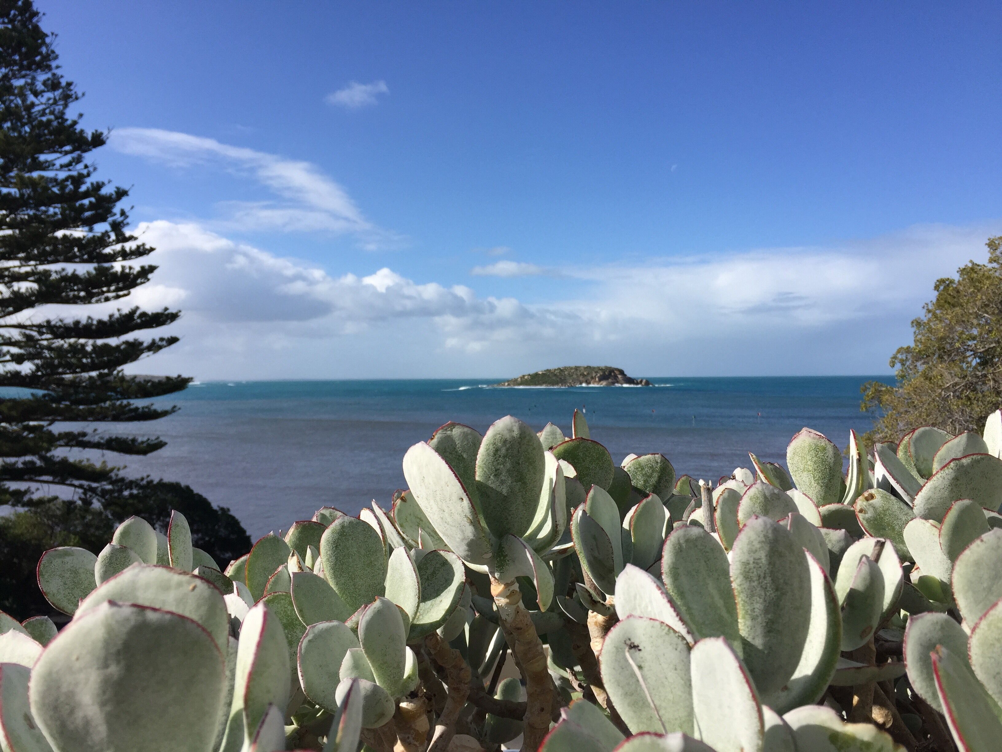 Breeze @ the Bay - absolute seafront apartment — image 16