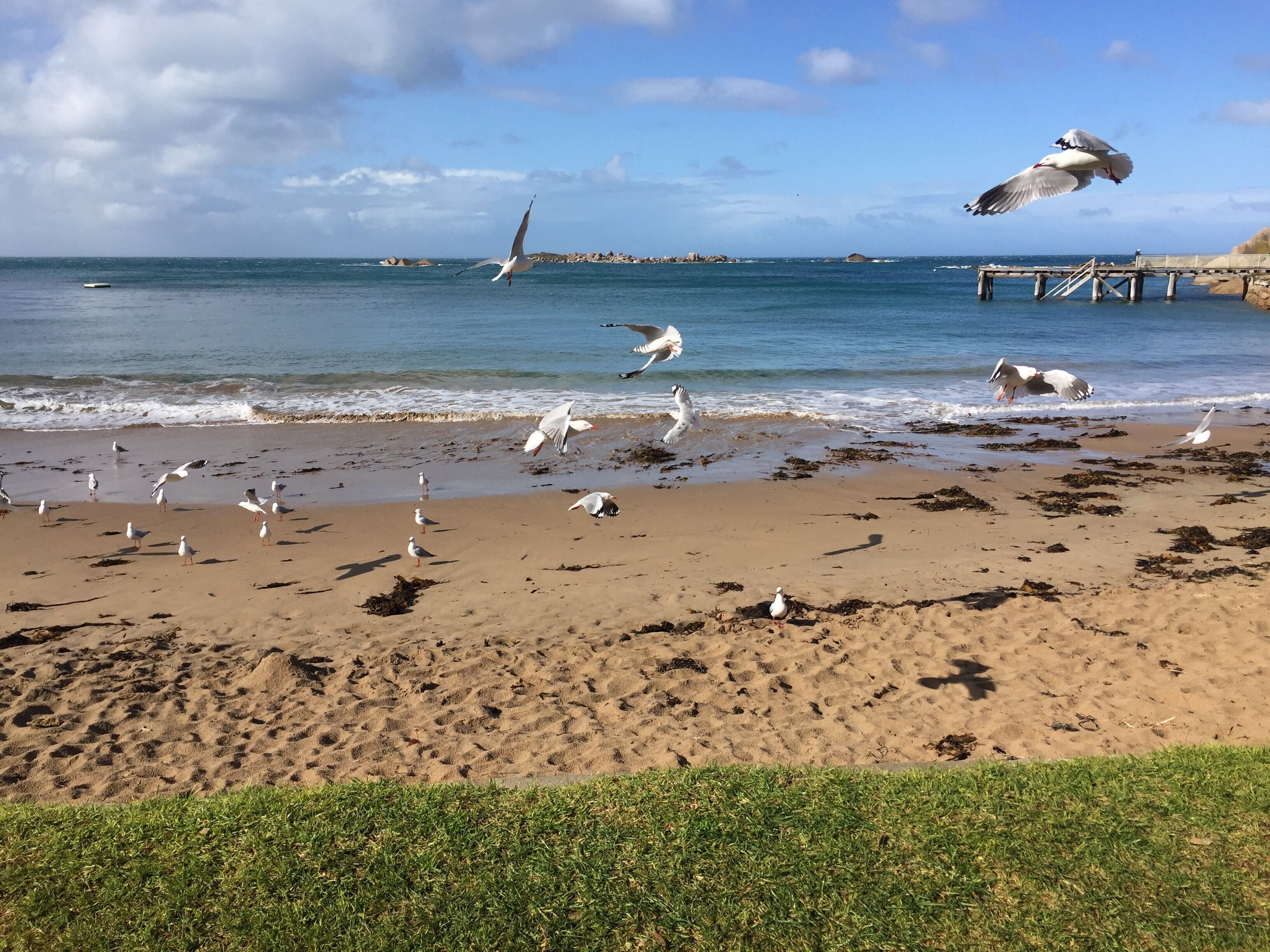 Breeze @ the Bay - absolute seafront apartment — image 17