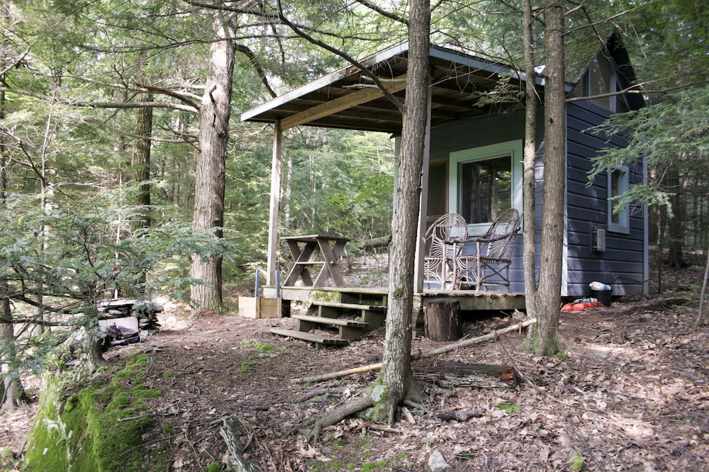 'A Place in the Woods' - Cabin on Chloe's Lake on 23 acres near Woodstock, NY