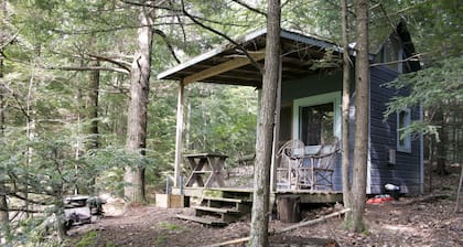 "En plats i skogen" - Stuga på Chloe Lake på 20 tunnland i närheten av Woodstock, NY