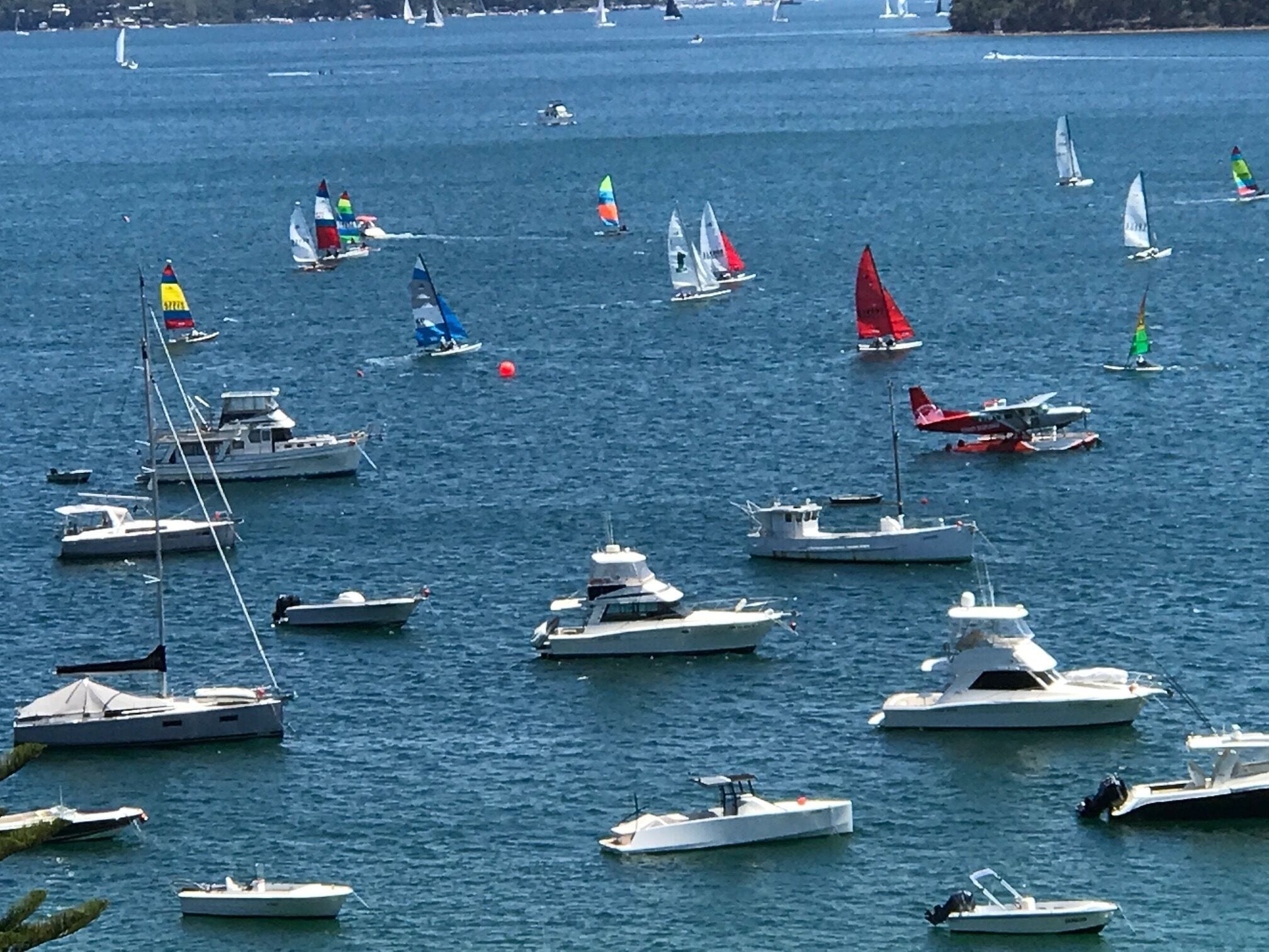 PARADISO - PALM BEACH — image 2