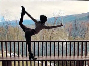 Property grounds - VT ski house! Fireplace, indoor/outdoor pool, Dogs loved (Manchester)