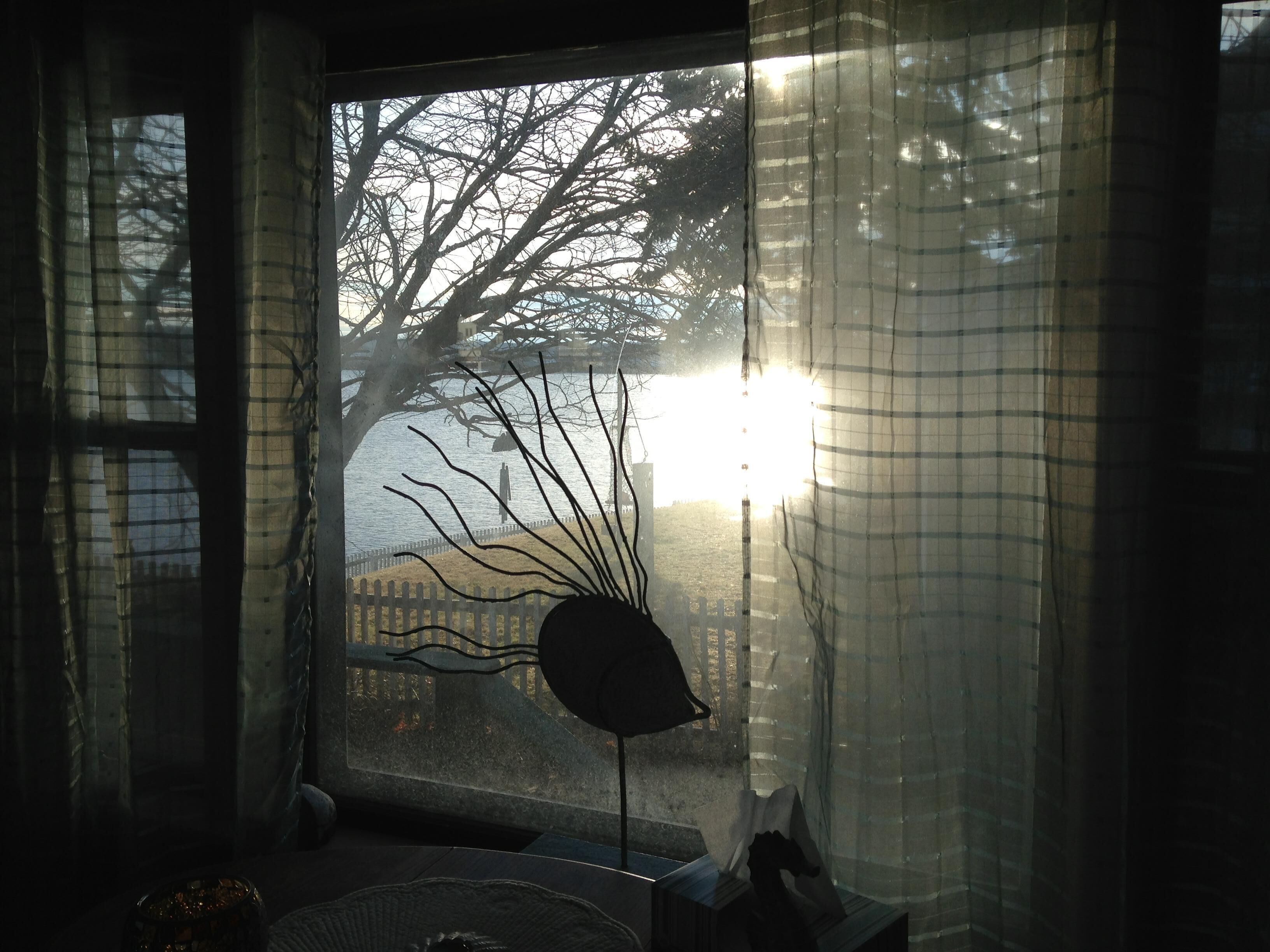 Oceanfront Home With Sea Access, Panoramic Views, and new large deck and dock!