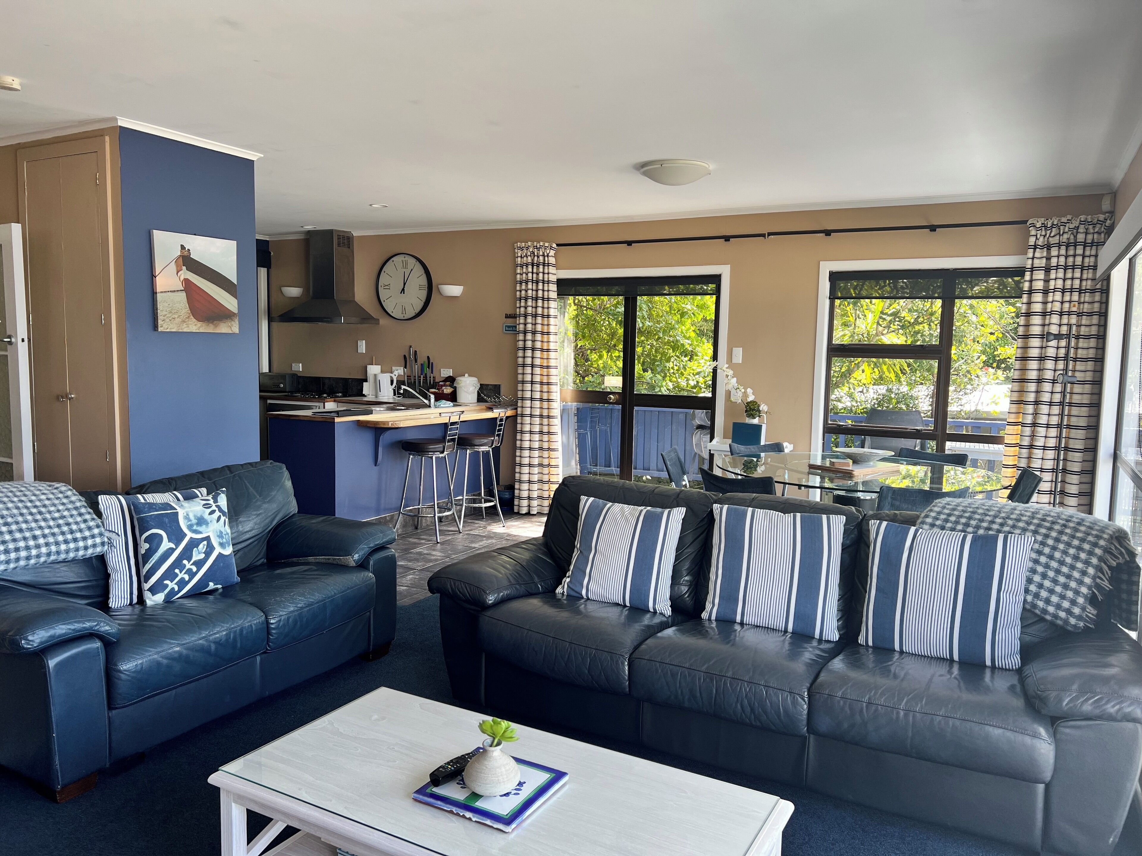 TV, fireplace, DVD player, books