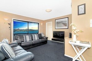 TV, fireplace, DVD player, books