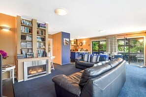 TV, fireplace, DVD player, books