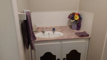 Shower, hair dryer, towels, toilet paper