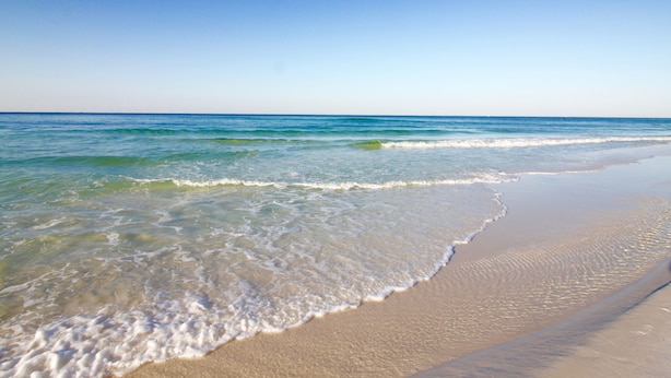 A beach with clear blue water and a sandy shore. - 104 Sterling Sands Oceanfront Paradise Found! Steps to the Beach! (Destin)