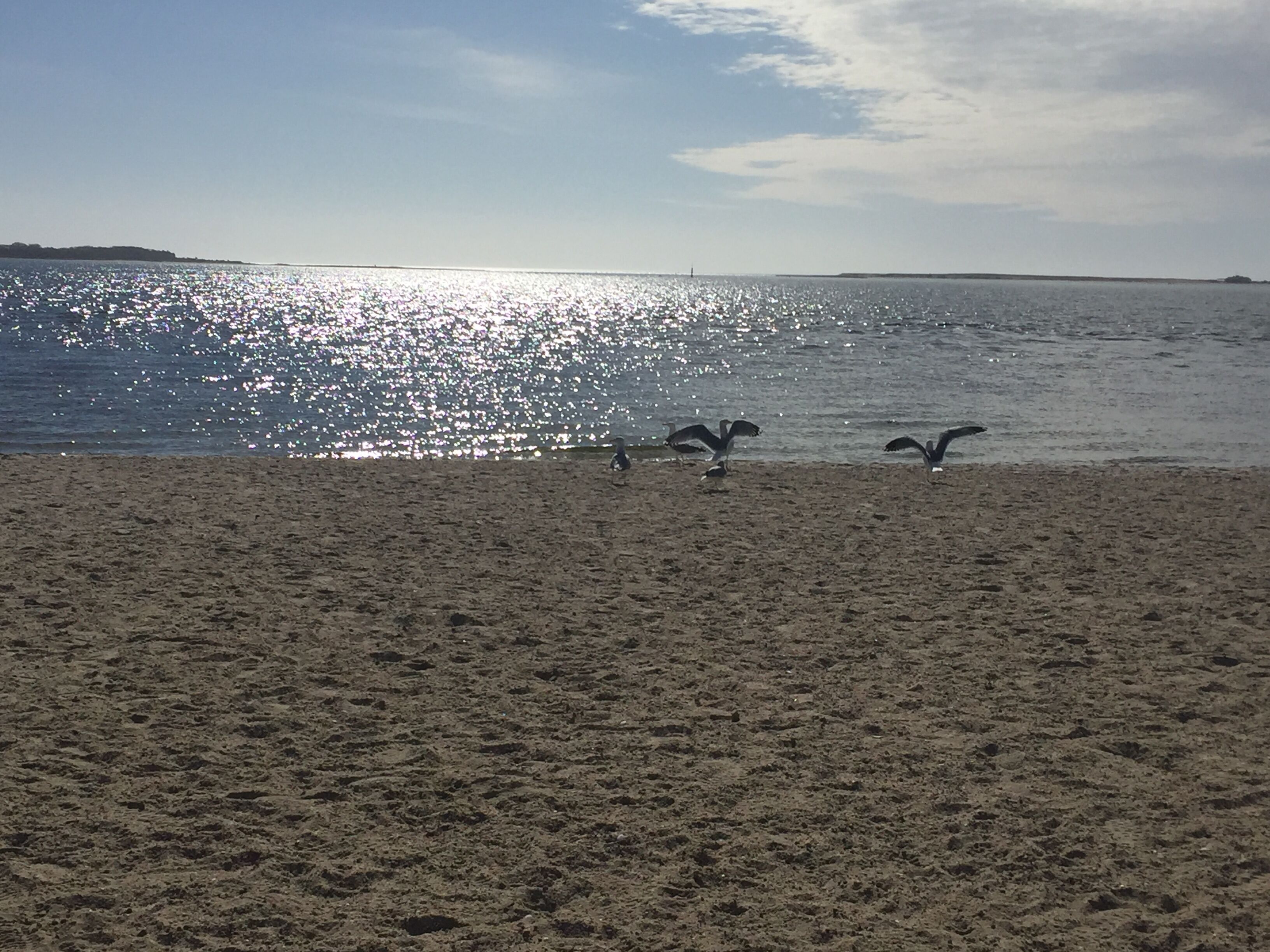 Beach nearby, sun loungers