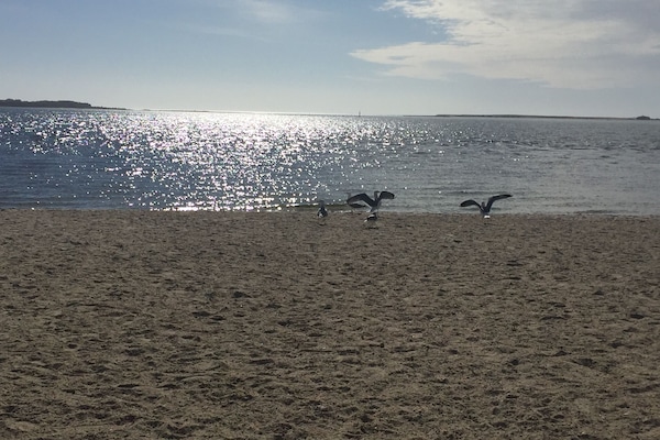 In Strandnähe, Liegestühle