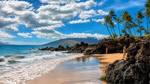 Una playa con terreno rocoso, palmeras y olas del océano.