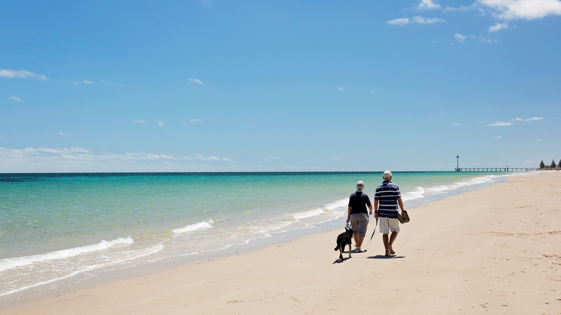 Stunning Seaside Retreat — image 21