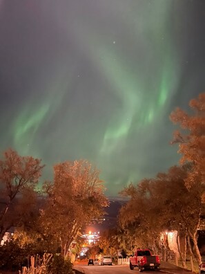 A street at night with trees and vehicles, under a sky with visible aurora borealis.