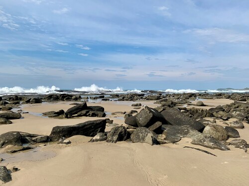 35 YAMBA STREET Dog friendly