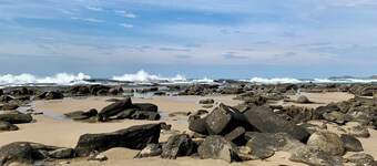 35 YAMBA STREET Dog friendly