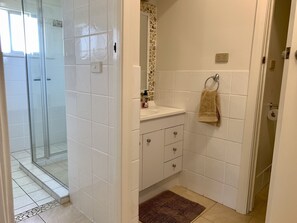 Shower, hair dryer