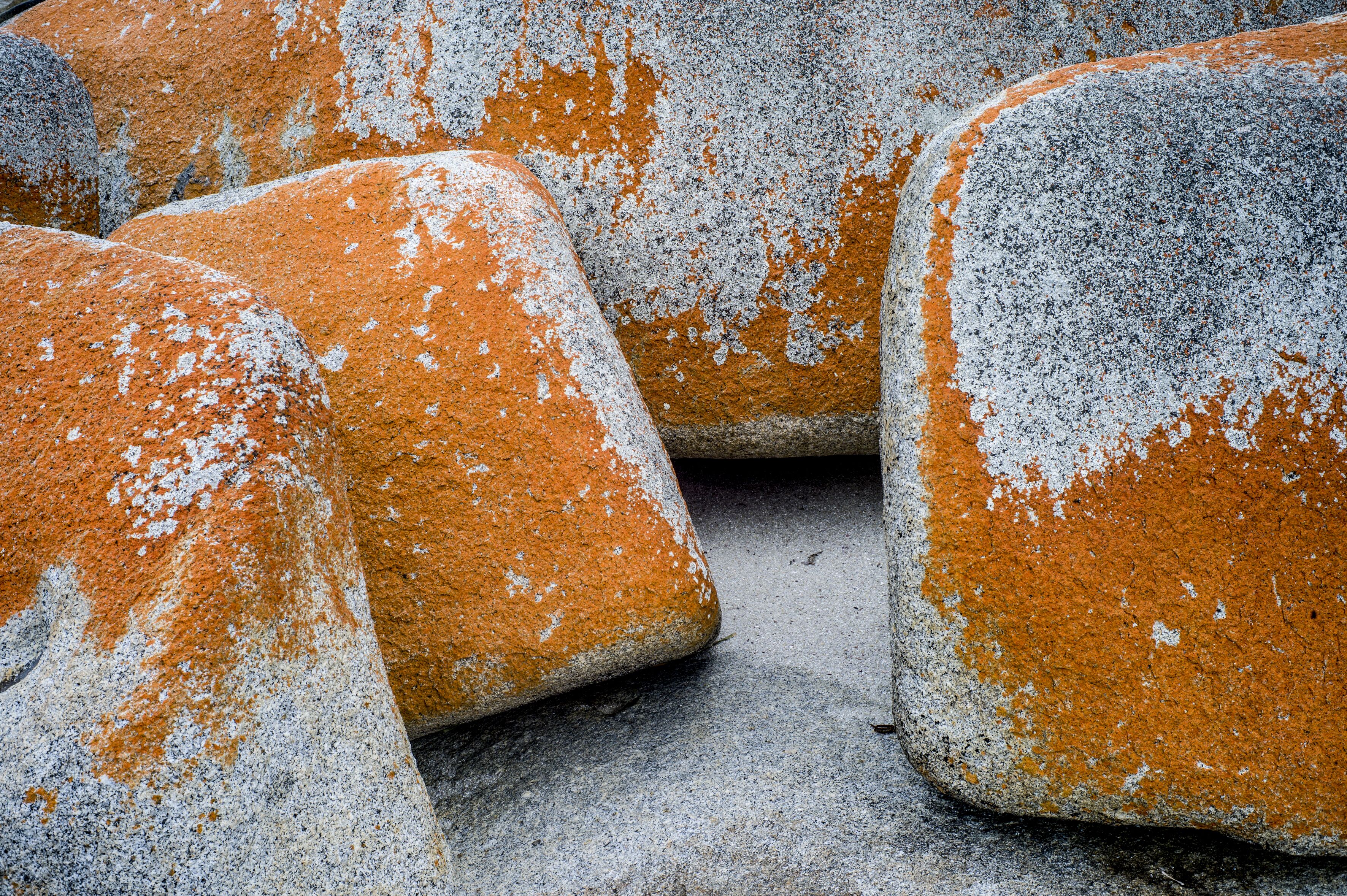 Sawyers Bay Shacks (small shack) — image 8