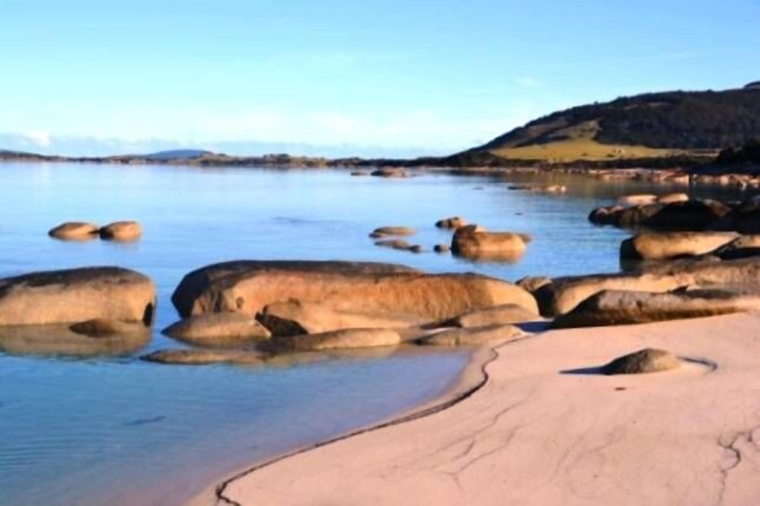 Sawyers Bay Shacks (small shack) — image 28