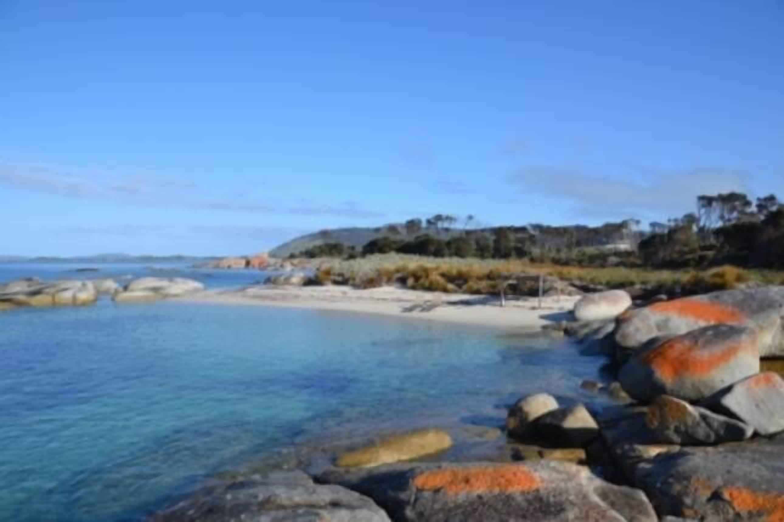 Sawyers Bay Shacks (small shack) — image 26