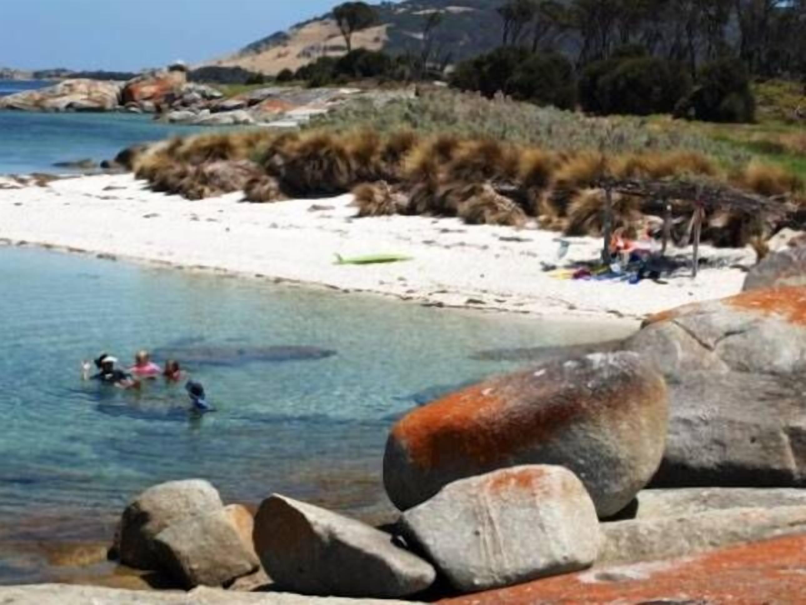 Sawyers Bay Shacks (small shack) — image 22
