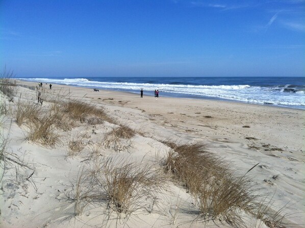 Une plage de sable avec des dunes et un ciel bleu dégagé.