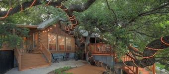 Gruene River Guest House - High & Dry On The River