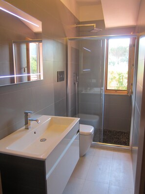 Shower, towels, toilet paper