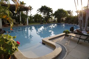 Ein Pool mit gewölbter Kante, umgeben von Blumentöpfen und Palmen.