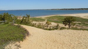 Una platja amb cel blau, dunes de sorra i vegetació escassa.