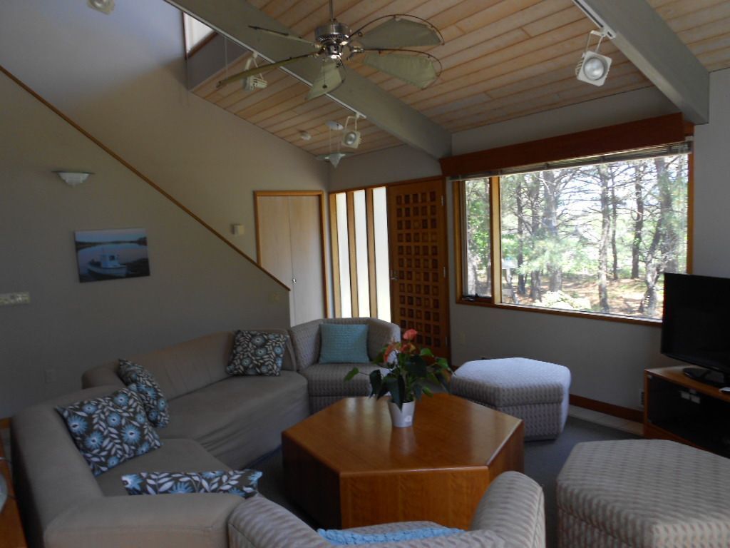 Un salon comprenant un canapé, un pouf, une table basse et un téléviseur. Il y a une fenêtre donnant sur des arbres et un ventilateur de plafond.