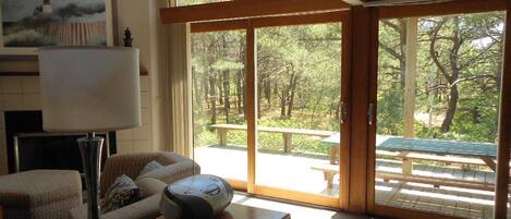 Televisión, reproductor de DVD, estéreo