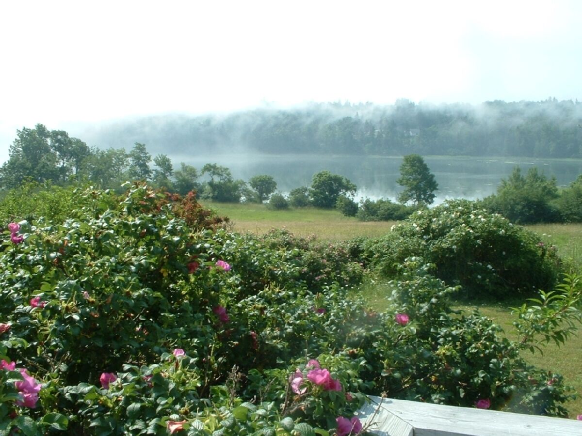 Ein Garten mit blühenden Blumen und Blick auf eine nebelverhangene Landschaft.