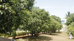A garden area with trees and a pathway. - Hotel Radhakrishna (Wai)