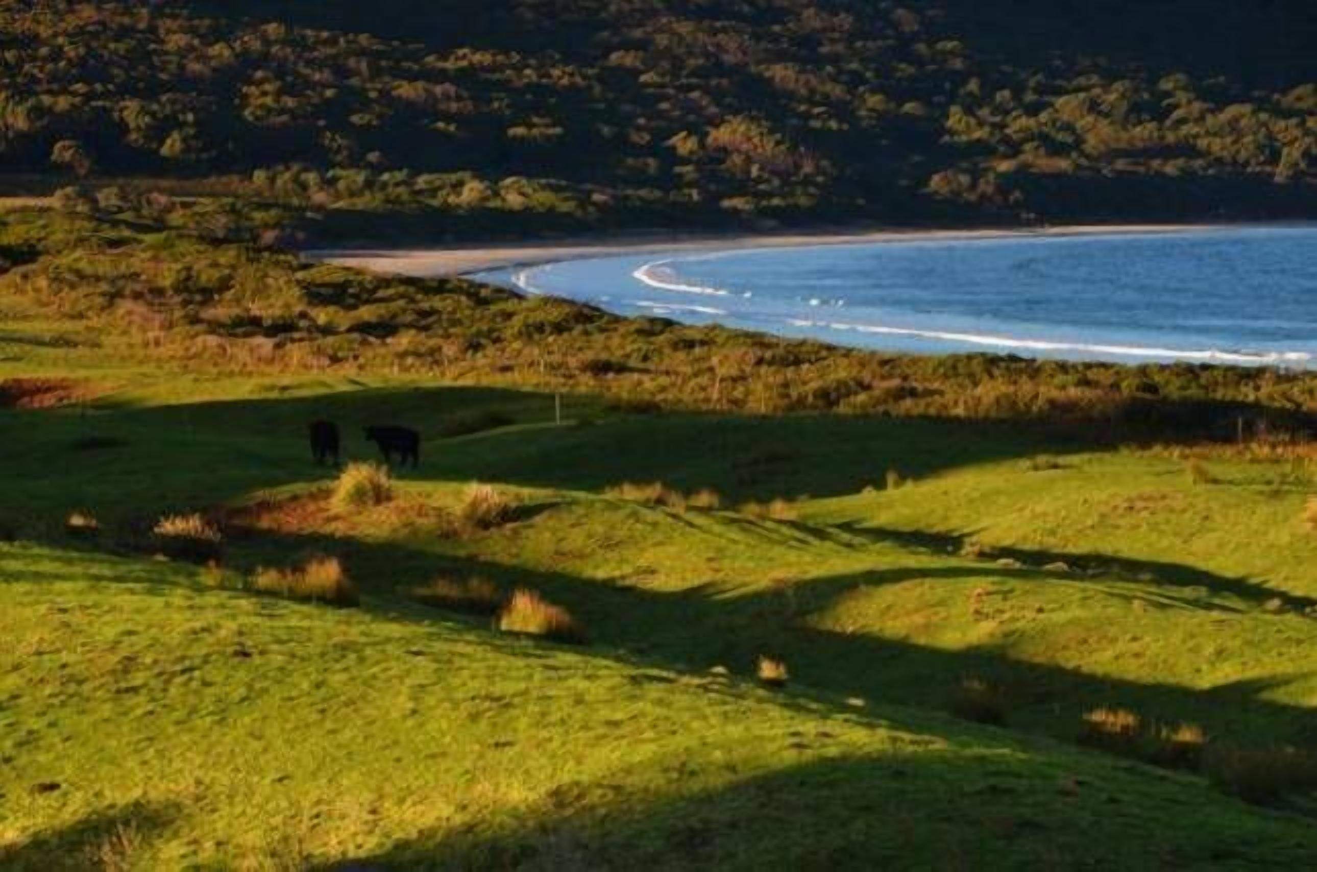 Mures Cloudy Bay Retreat — image 3