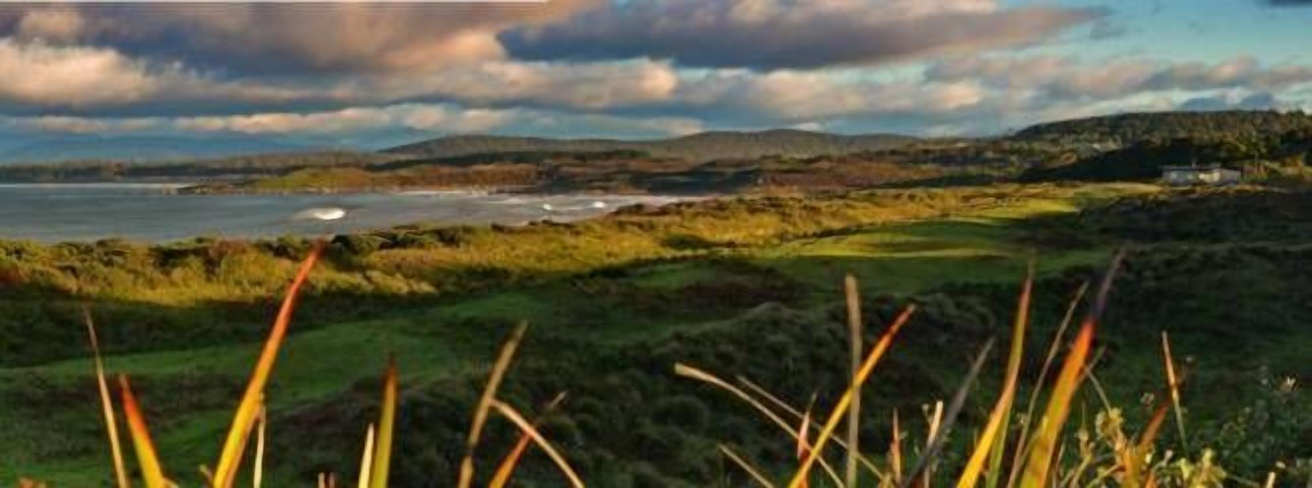 Mures Cloudy Bay Retreat — image 8