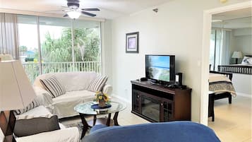 Smart TV, fireplace, books, music library