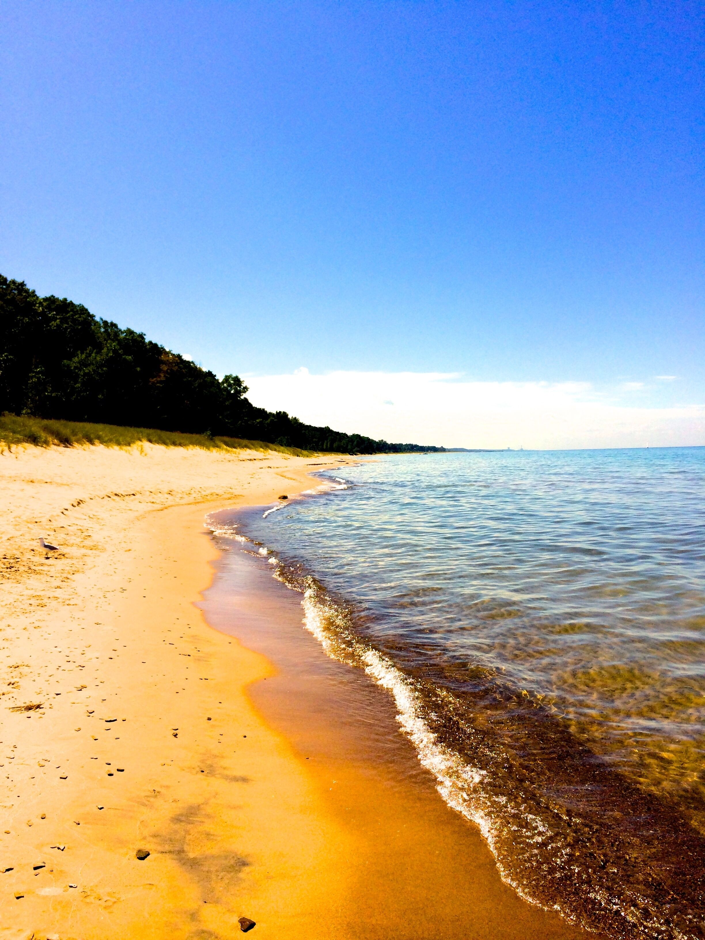 ビーチの近く、サンラウンジャー、ビーチタオル